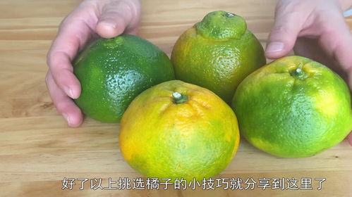 買橘子不要隨手拿了，只需分清公母，保證挑選出來的橘子個個甜